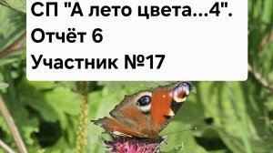 СП «А лето цвета...4. « Отчёт 6. Участник №17