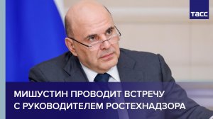 Мишустин проводит встречу с руководителем Ростехнадзора