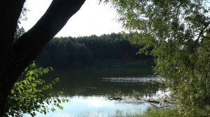 Мариинский Посад - Большое Шигаево