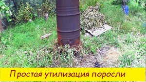 Простая утилизация поросли
