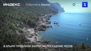 В Крыму продлили запрет на посещение лесов
