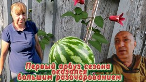 Первый арбуз сезона оказался большим разочарованием