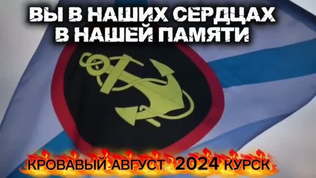 КУРСК 2024 В ПАМЯТЬ О ГЕРОЯХ 810 БРИГАДЫ