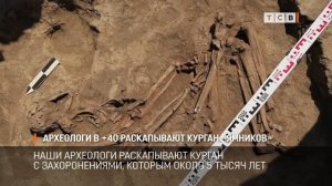 Археологи в раскапывают курган «ямников»