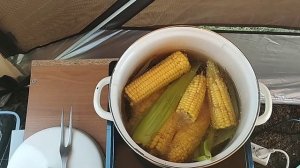 Варим молодые початки кукурузы.