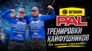 PAL 2026 - Тренировки