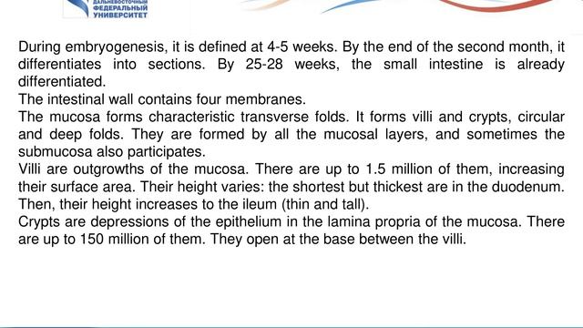 4.2 Posterior And Middle Parts Of Digestive Tract