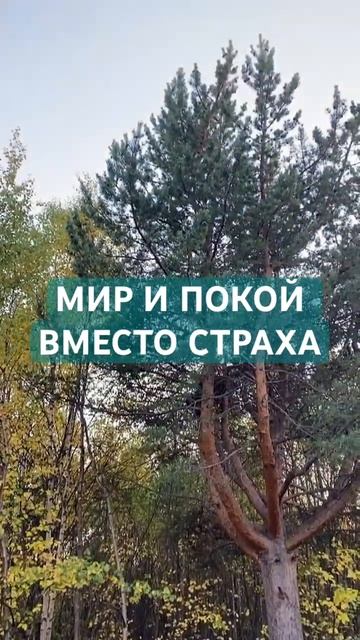 Вверь себя Богу
