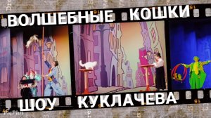 Волшебные кошки, спектакль Владимира Куклачева.