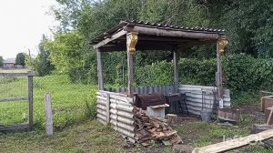 Жизнь на пенсии. 12-08-2026. День не прошел даром