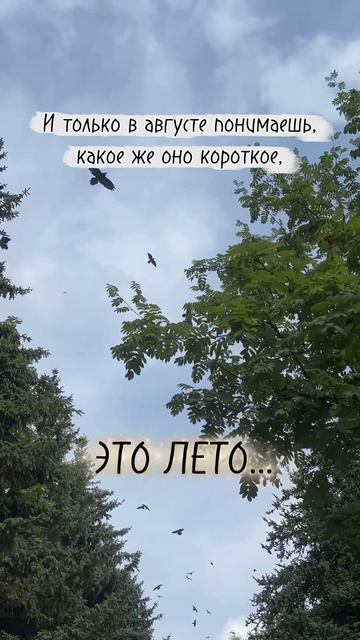 Август🌻