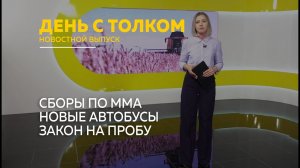 День с Толком 12.08.2026