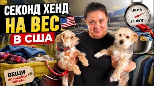 КАК ВЫЖИВАЮТ РУССКОЯЗЫЧНЫЕ НА ЗАГНИВАЮЩЕМ ЗАПАДЕ: Приехала на барахолку искать клад Что найти на вес