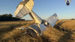 Самолет Ан-2 упал в Самарской области