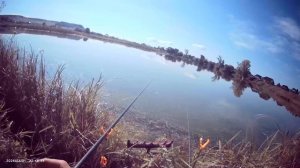 С утра маленько порыбачил на поплавок🎣 Прикормка Жмых-Дробленка. Насадка перловка.