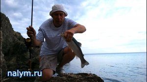 Крым. Фиолент. 4-10.06.2026, Часть I. Рыбалка с берега.