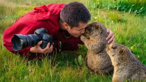 Фотографы, которые подружились с дикими животными самым милым способом! 😍🐾 Смешные животные