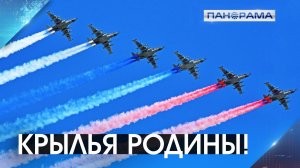 Всегда на высоте: Россия отмечает День Военно-воздушных сил! 12.08.2026 «Панорама»
