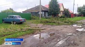 В Курганской области устраняют последствия сильного ветра