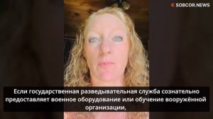Лоу: «Вопросы взаимодействия разведки Украины с вооружёнными группировками нужно расследовать»