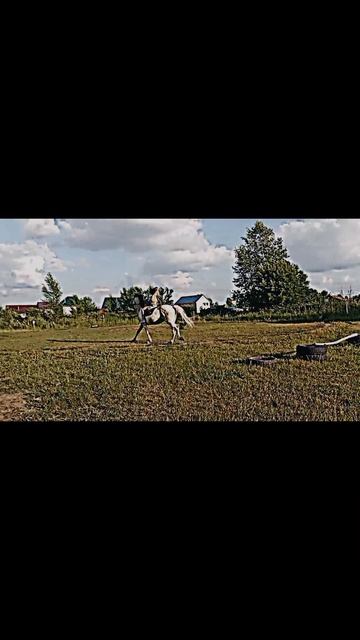 🏇подруга🏇на🏇конюшне🏇