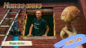НОВОЕ ОКНО/ВОДА НА УЧАСТКЕ/ТИХАЯ ОХОТА