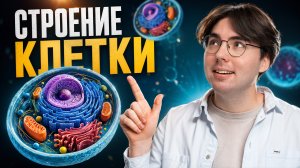 Строение клетки | ОГЭ биология | Никита Павлов | Умскул