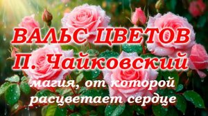 ВАЛЬС ЦВЕТОВ. П. Чайковский: магия, от которой расцветает сердце.🌸🌹🌼🎼🎵