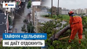Тайфун Дельфин: команды по борьбе с наводнениями работают в центральном и восточном Китае