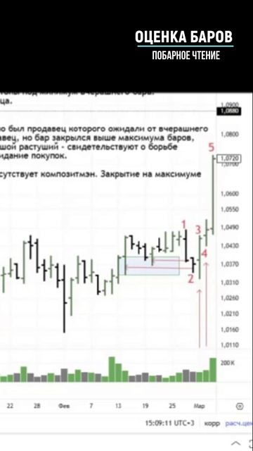 ОЦЕНКА БАРОВ побарное чтение  ч.1