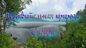 Удивительная природа Сибири