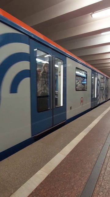 Поезд метро москва!
