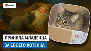 Как кошка спасла жизнь брошенному в подъезде младенцу