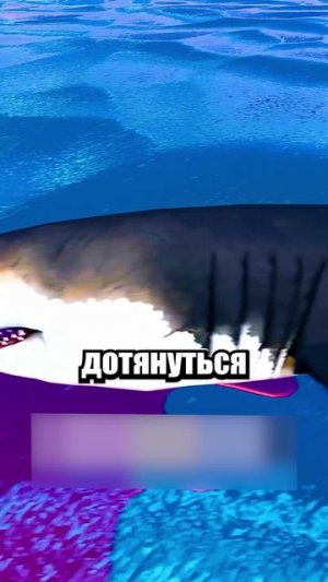 🦈 САМАЯ ГОЛОДНАЯ АКУЛА!  #shorts #шортс #roblox #роблокс #прикол #анимация #мем #пранк
