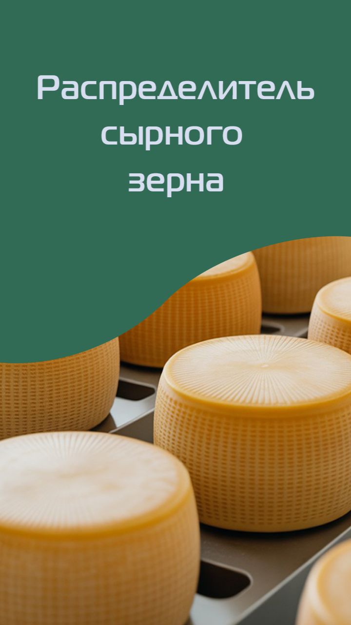 Линия производства сыров с плесенью