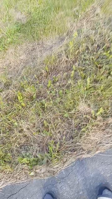 Друг гонится за мной потомушто яа  не вернул копеику долк ахахах 😈