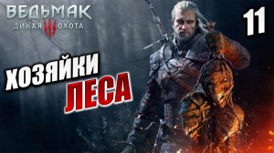 ХОЗЯЙКИ ЛЕСА | Ведьмак 3 / The Witcher 3: Wild Hunt | #11