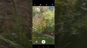Обзор