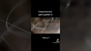 каты что ли гигачаты