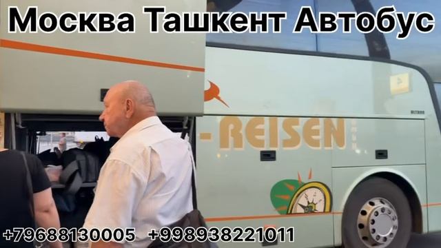 москва ташкент автобус