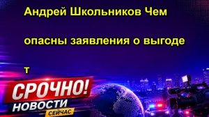 Андрей Школьников Чем опасны заявления о выгоде т