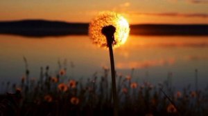 И ЭТО ВСЁ НАШИ КРАСОТЫ 👌 КАРЕЛИЯ 🧡