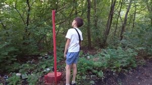 Король агуши и необитаемый остров