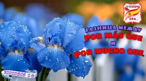 222. Разница между Por más que y Por mucho que. Уровень В1-В2.