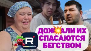 Дожали их /Спасаются бегством /Ольга Уралочка Обзор