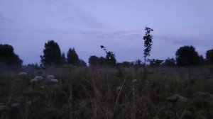 Про аистов часть 3