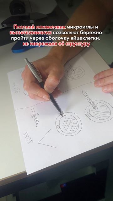 Наглядно чем Пьезо-ИКСИ отличается от ИКСИ 🧫