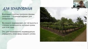 Красивая дача. 12.8 10:00