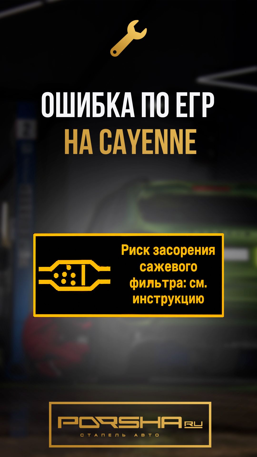 Ошибка по ЕГР на Cayenne