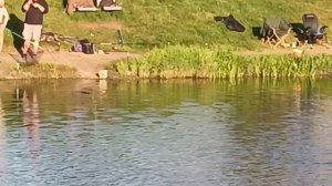 1000161572.mp4